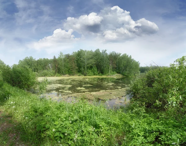 stock image Romantic summer landscape