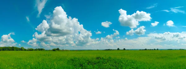 stock image Romantic summer landscape