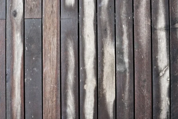 Textura de madera secada — Stockfoto