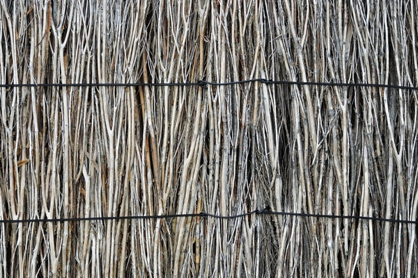Brushwood fence texture