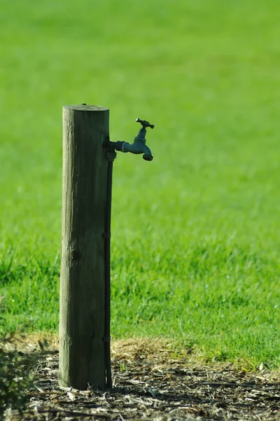 Кран для воды в парке — стоковое фото