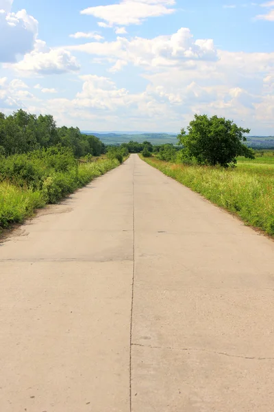 stock image The road