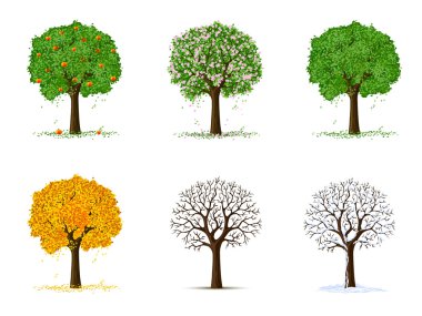 Season trees clipart