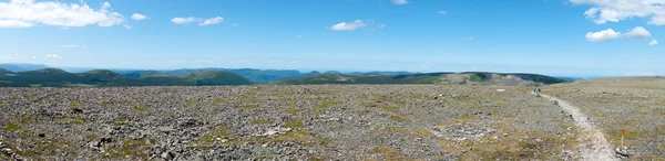Panorama da Tundra Fotografias De Stock Royalty-Free