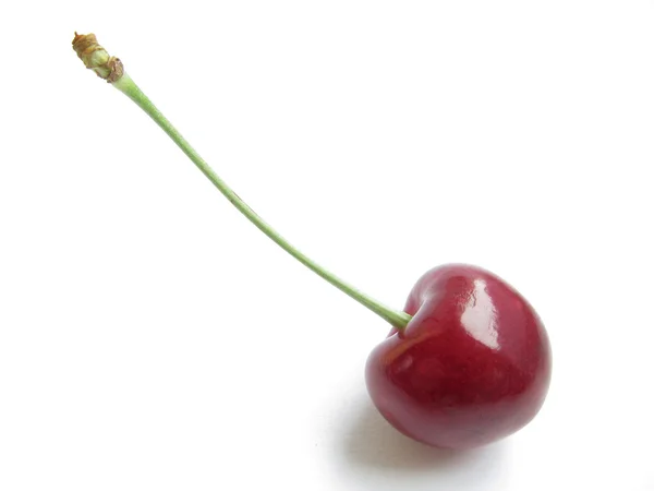 Single Cherry — Stockfoto