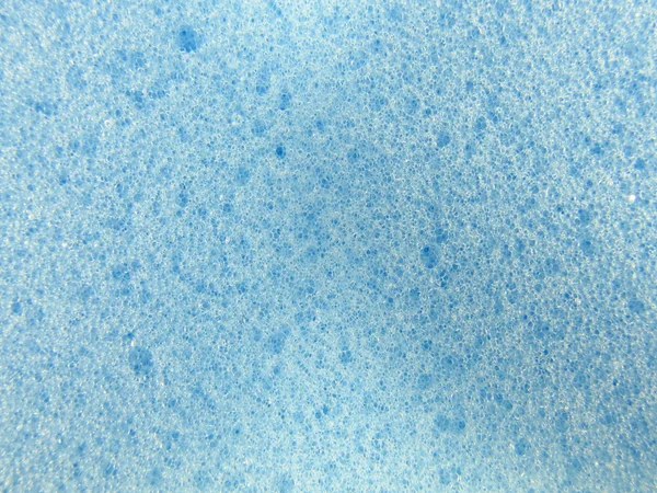 Голубая губка — стоковое фото