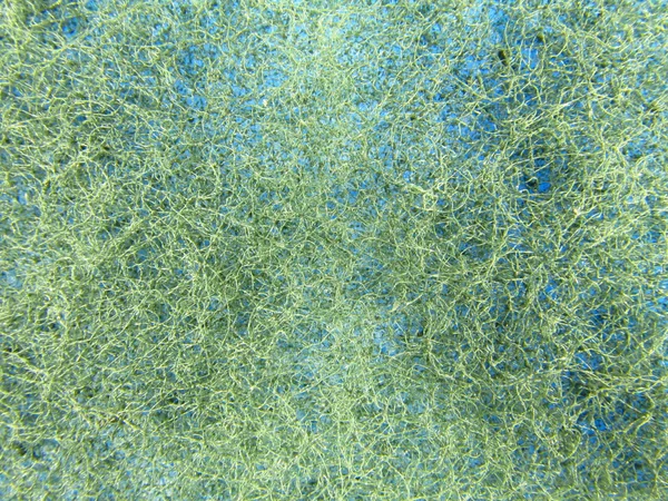 stock image Fleecy green-blue sponge texture