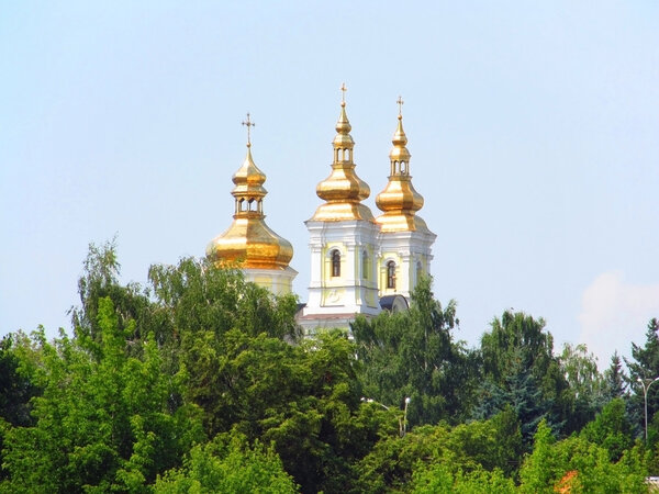 Landscape of the orthodox temple beyond trees