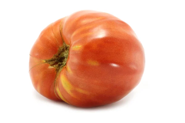 Tomate redondo único — Foto de Stock