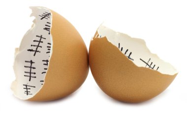 Two pieces of eggshell clipart
