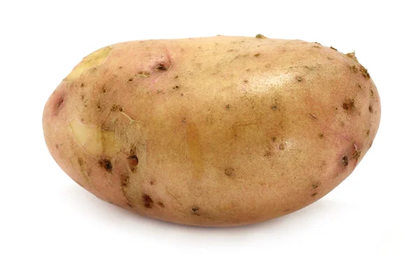 Große Kartoffel — Stockfoto