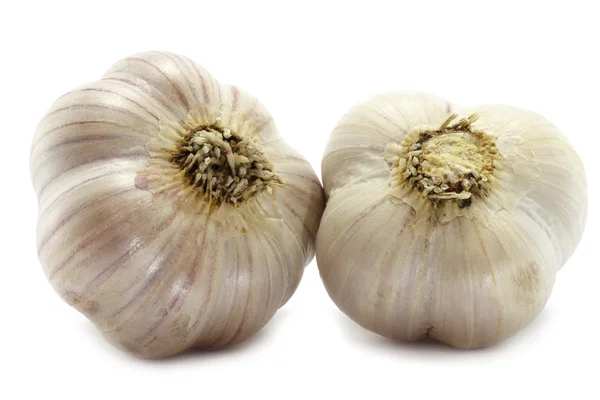 Two big garlics — Stock Photo, Image