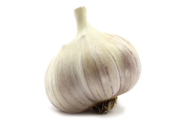 Single garlic — Stock Photo, Image