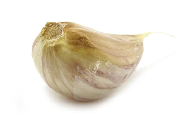 Garlic сlove — Stock Photo, Image