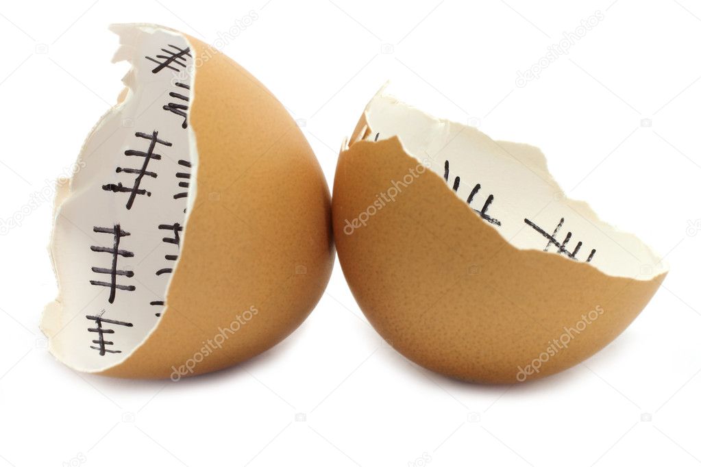 Two pieces of eggshell