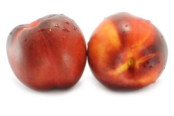 Two wet nectarines — Stock Photo, Image