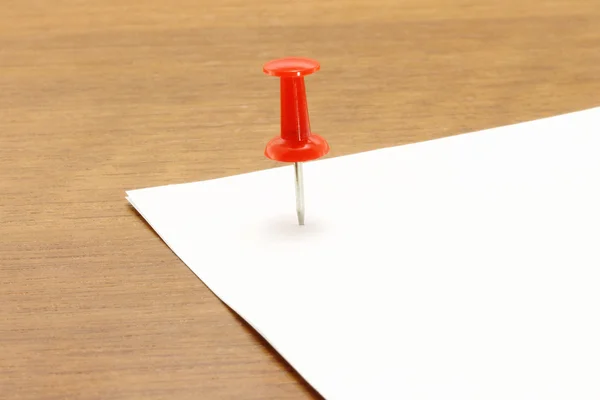 Drawing pin and blank — Stock Photo, Image