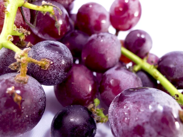 Stock image Many Grapes