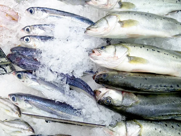 Peixe fresco no gelo decorado para venda no mercado — Fotografia de Stock