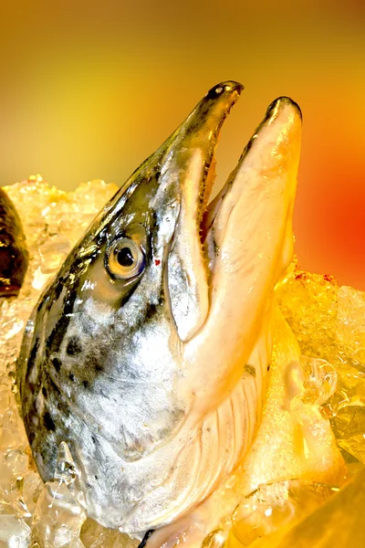Свежая рыба на льду украшена для продажи на рынке — стоковое фото