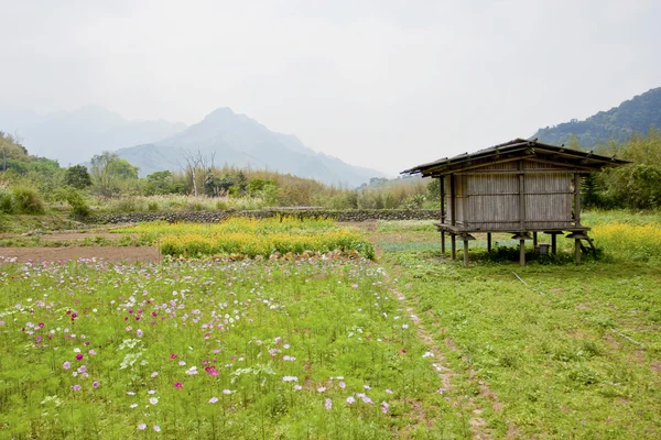 Uma casa de madeira em uma fazenda de flores — Fotografia de Stock