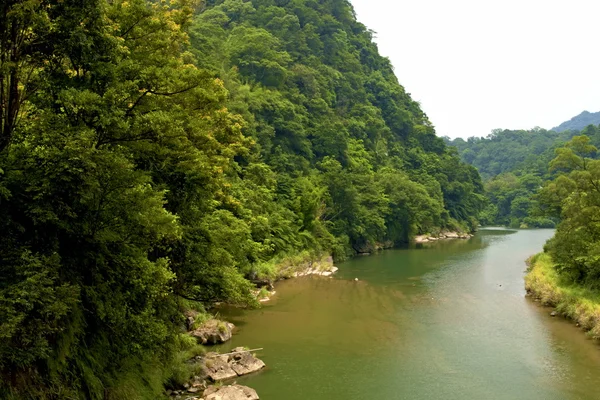 Berg rivier in bos — Stockfoto