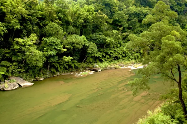 山区河流在森林里 — 图库照片