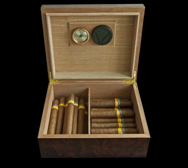 Humidor ve puro