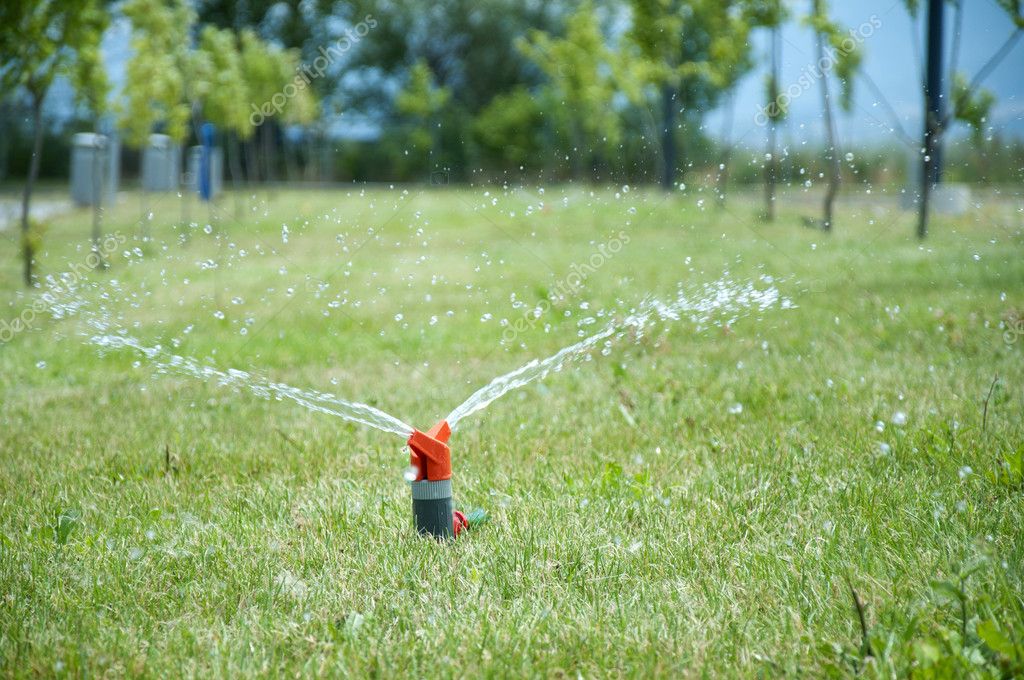 Sprinkler watering the green grass Stock Photo by ©deyangeorgiev2 6001073