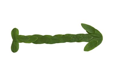 doğal yaprak ok. yapılan yaprak.