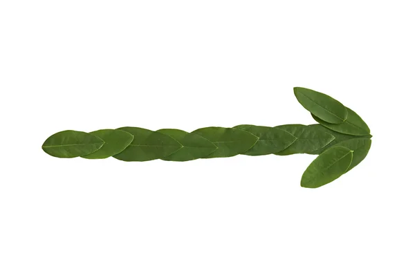 Natural leaf arrow. Leaf made. — Stock Photo, Image