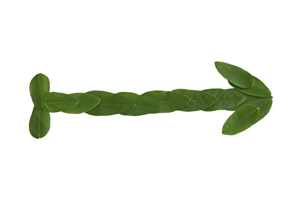 Natural leaf arrow. Leaf made. — Stock Photo, Image