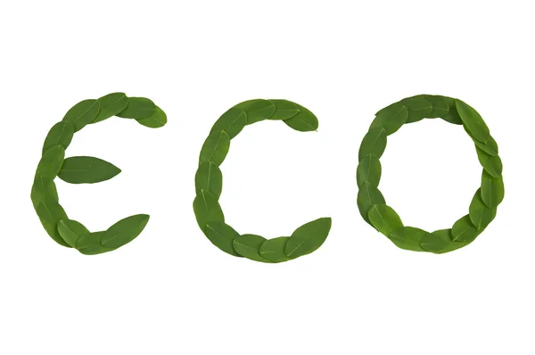 Eco κείμενο — Φωτογραφία Αρχείου