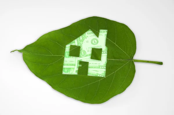 Leaf kapade hus. fastigheter — Stockfoto