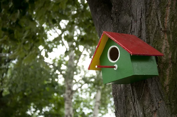 Home-made bright colored bird house — Stock Photo, Image