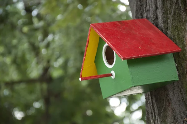 Домашний яркий птичий домик — стоковое фото