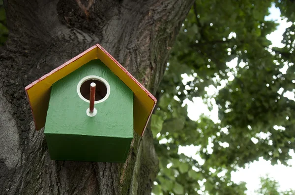 Huisgemaakte helder gekleurde vogel huis — Stockfoto