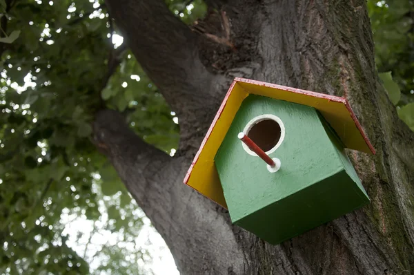 Home-made bright colored bird house — Stock Photo, Image