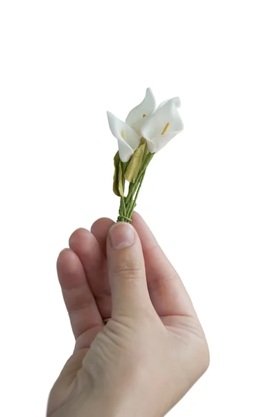 Hand geeft kleine boeket bloemen — Stockfoto