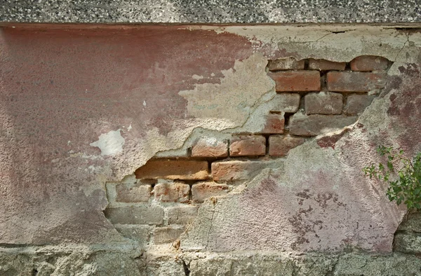 Oude muur — Stockfoto