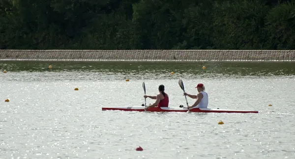 stock image Rowers in a boat in line