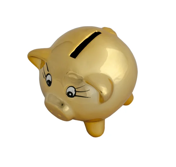钱框猪 — 图库照片