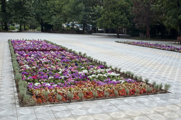 Blumenpark — Stockfoto