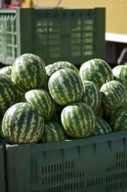 Watermelons in large crates clipart