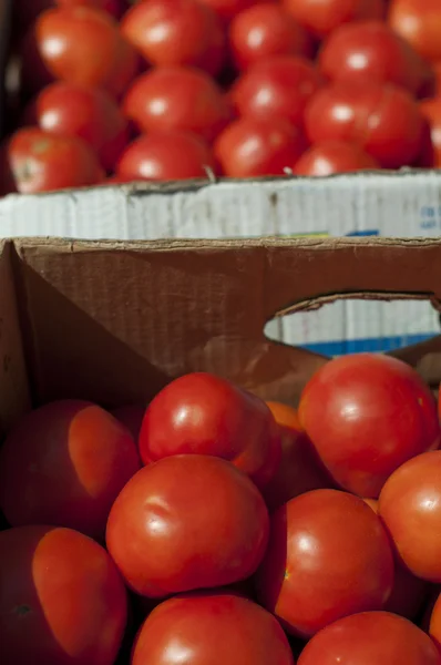 Tomaten in Schachteln auf dem Großmarkt — Stockfoto