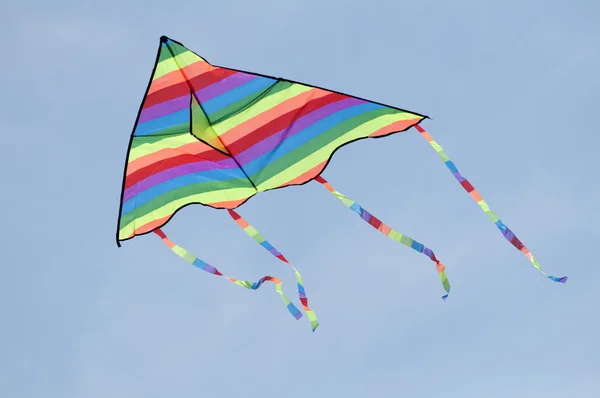 Cerf-volant multicolore — Photo