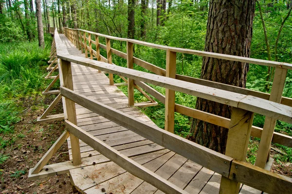 stock image Footbridge and trees