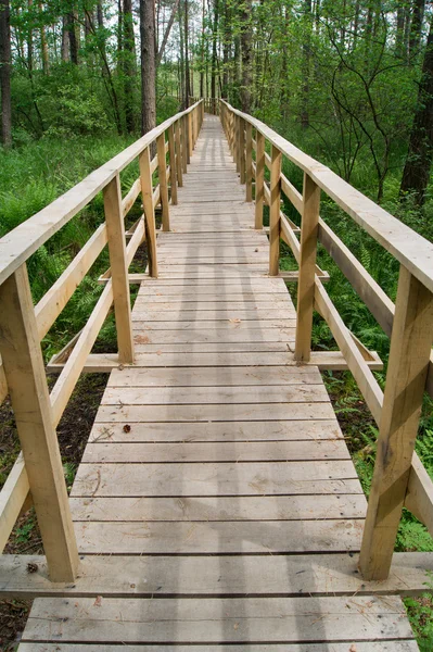 stock image Footbridge over the swamp