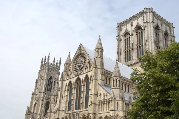 York Minster South View — Stock Photo, Image
