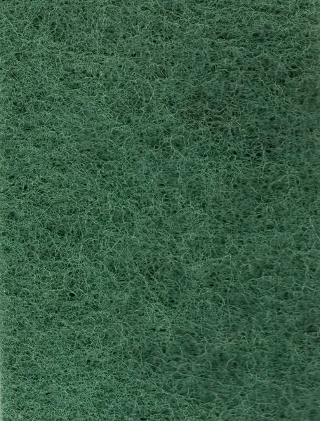 Yeşil aşındırıcı ped — Stok fotoğraf